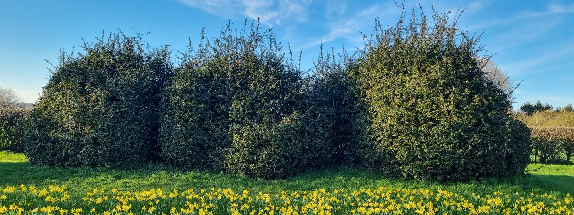 Our Vision*What we believe*Read more